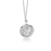 Ancient Goddess of Good Luck Coin Necklace Sterling Silver - Image 6
