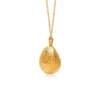 Shell Gold